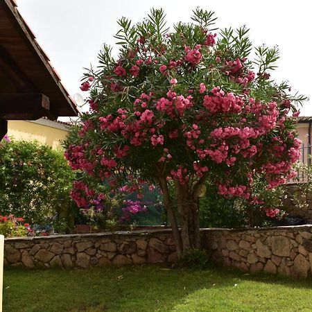 Splendida Villetta Tavolara 1 Vaccileddi Ngoại thất bức ảnh