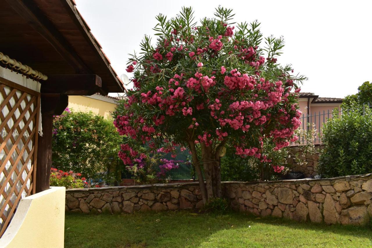 Splendida Villetta Tavolara 1 Vaccileddi Ngoại thất bức ảnh